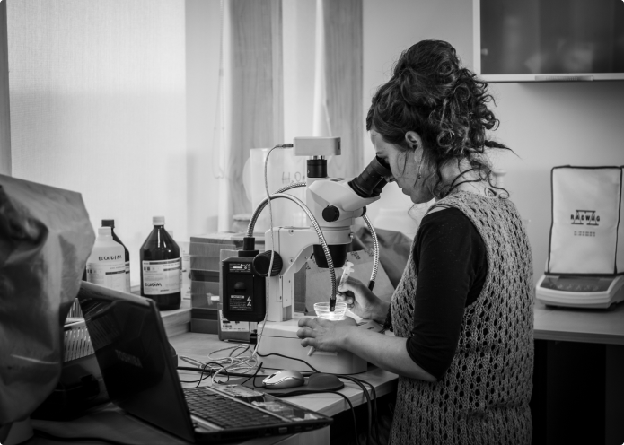 Here – for International Students