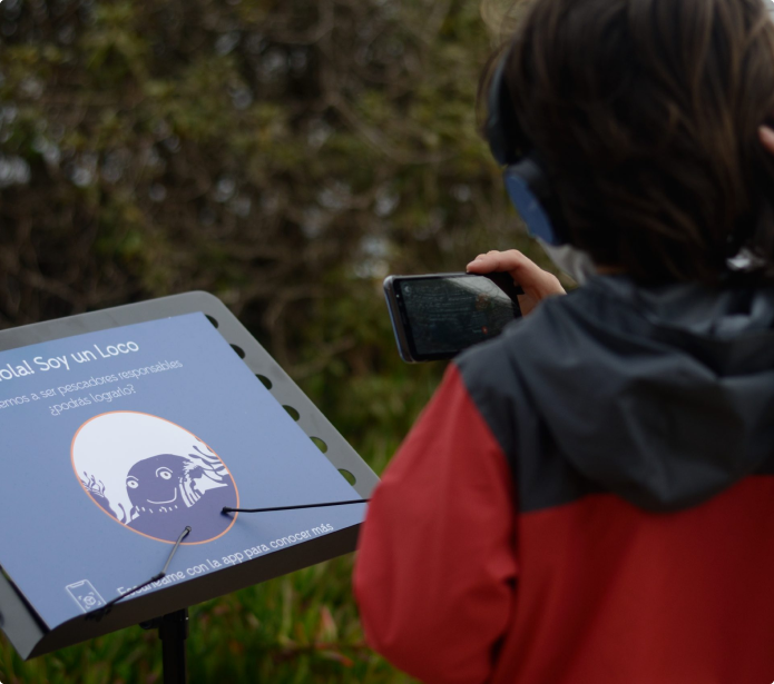Sumergiéndonos en el mar de Chile: Un sendero científico marino