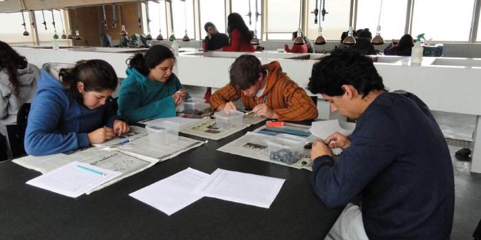 Seminarios de Investigación