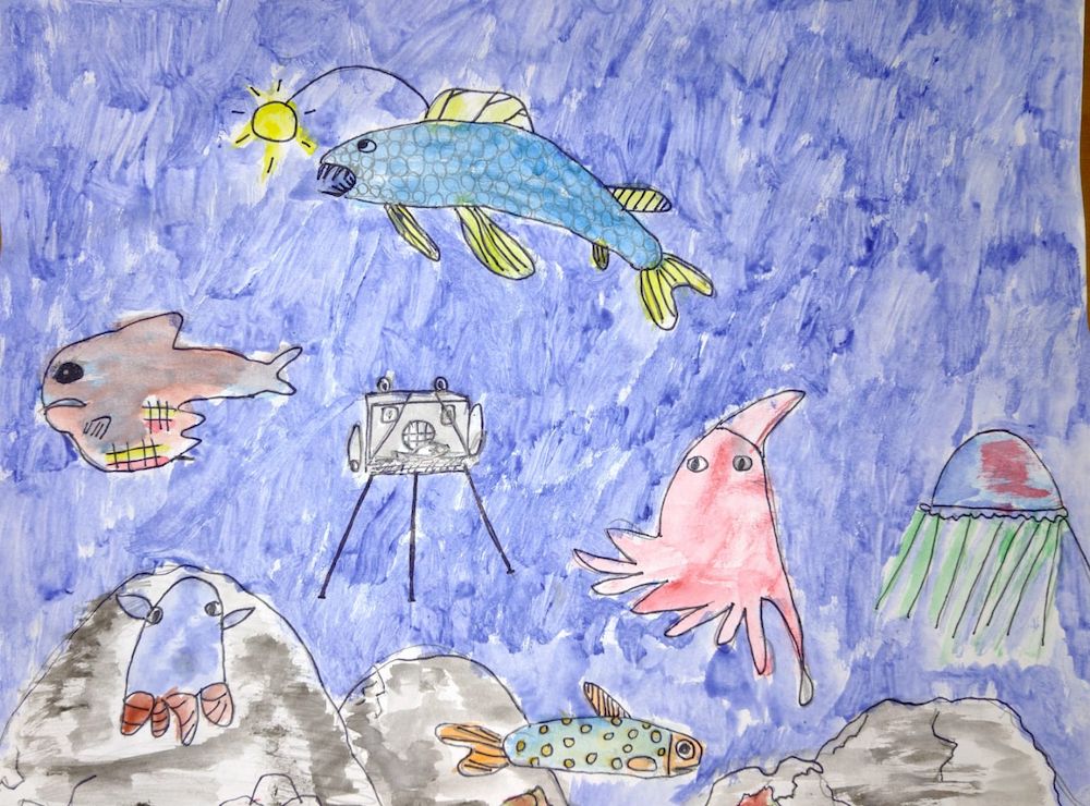 Explorador@s de lo profundo