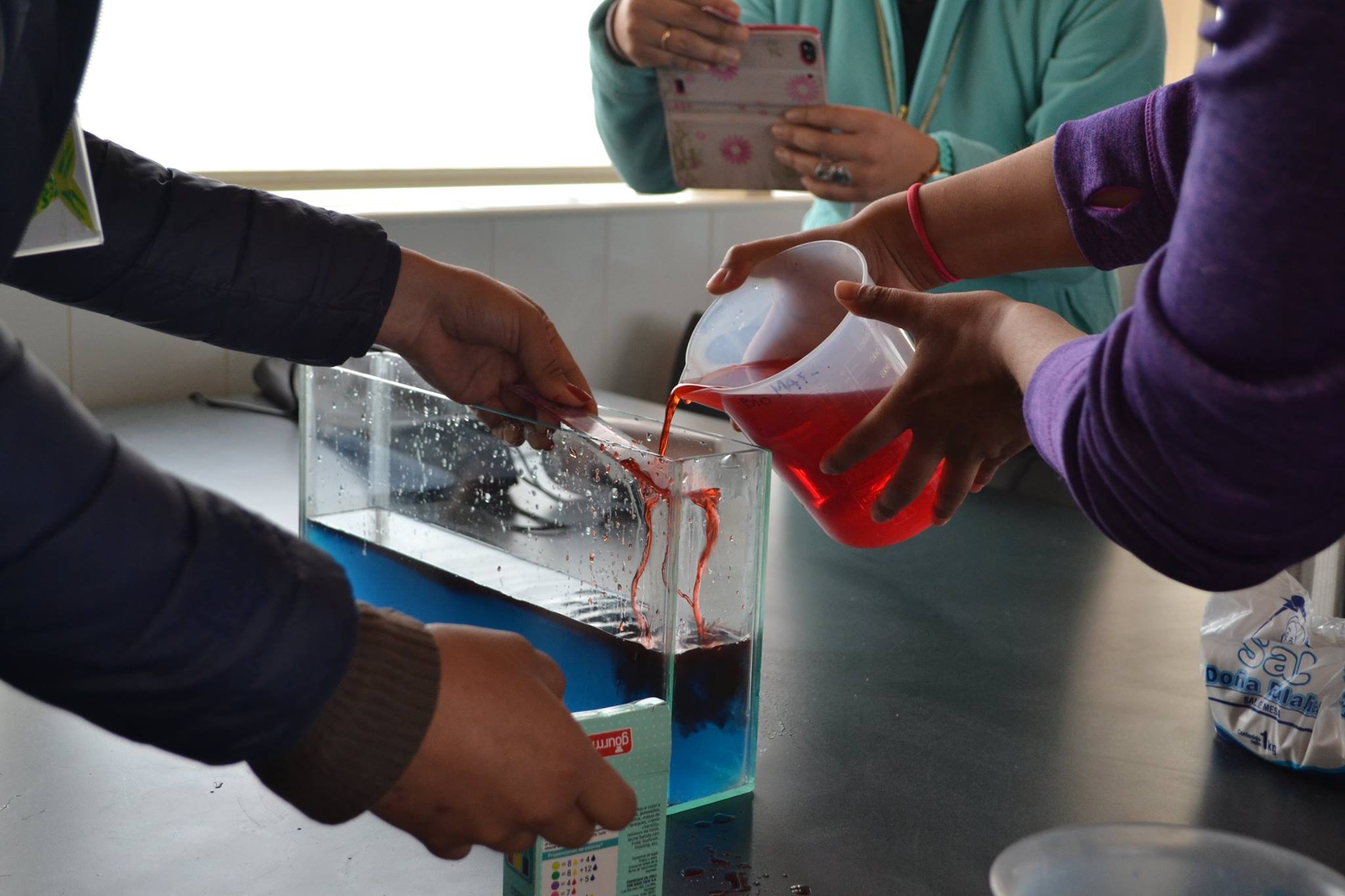 Capacitación docente: “Conectando el océano con las aulas”