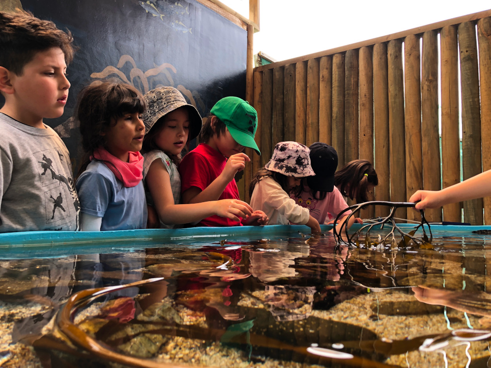 Vuelven las visitas familiares guiadas ECIM, Enero 2023